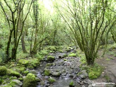 Geoparque Costa Quebrada - Valles Pasiegos;parque natural rio lobos sierra de tejeda almijara y alha